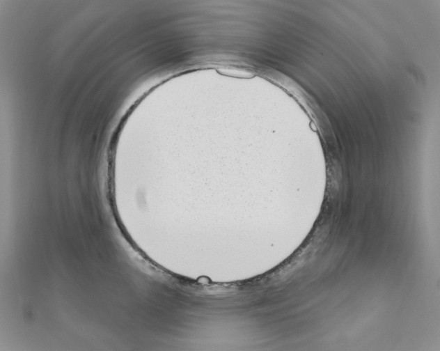 X0000110861147200907301346