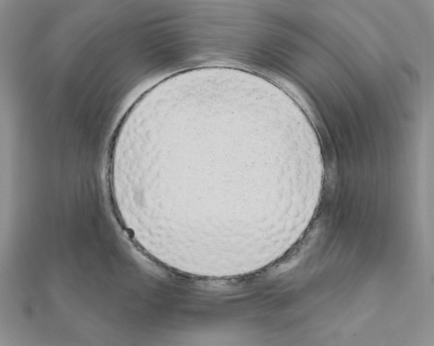 X0000110861149200907301347