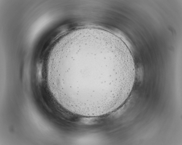 X0000110861150200907301347