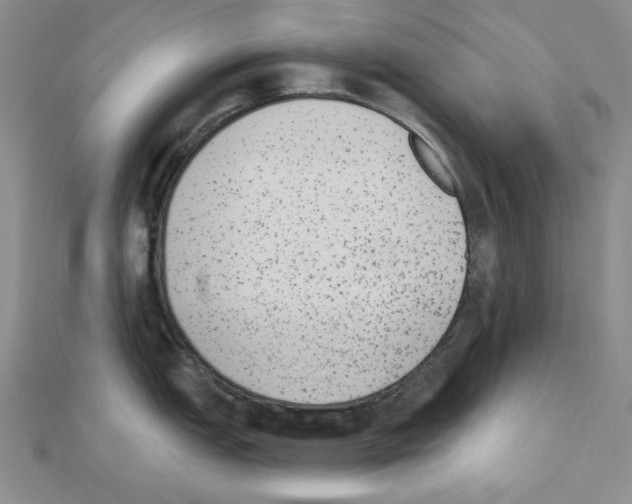X0000110861151200907301347