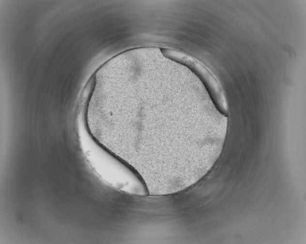 X0000110861152200907301347