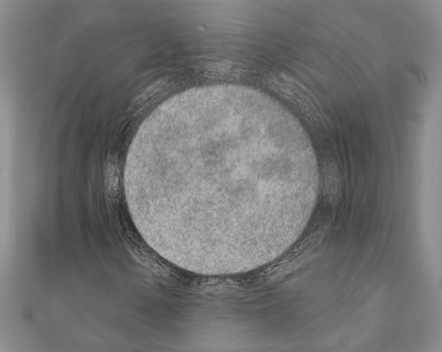 X0000110861154200907301346