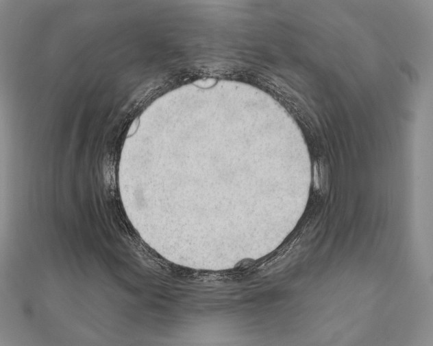 X0000110861155200907301346