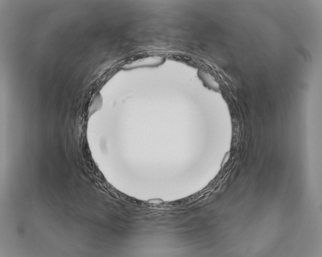 X0000110861157200907301346