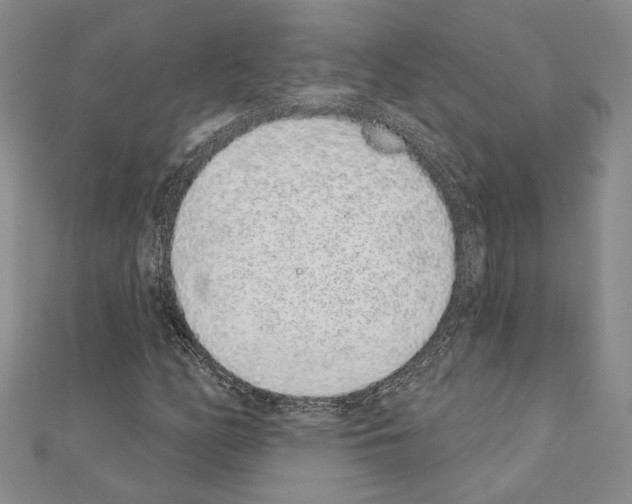 X0000110861158200907301346
