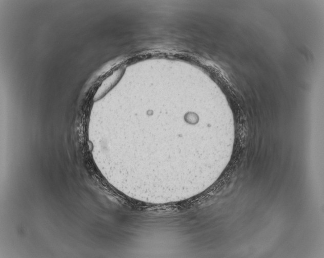 X0000110861159200907301346