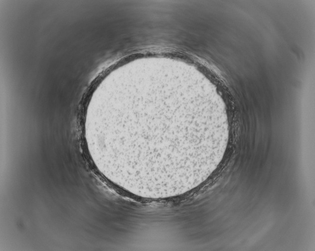 X0000110861160200907301346