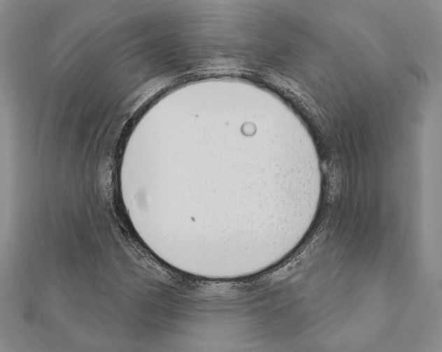 X0000110861162200907301346