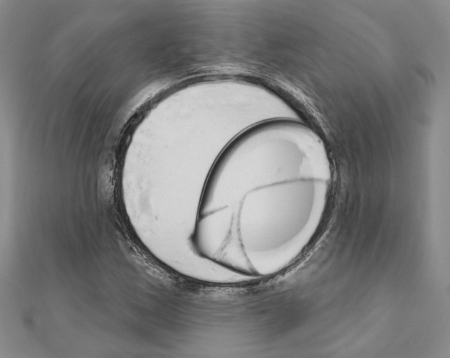 X0000110861163200907301346