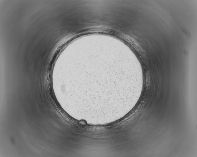 X0000110861164200907301346