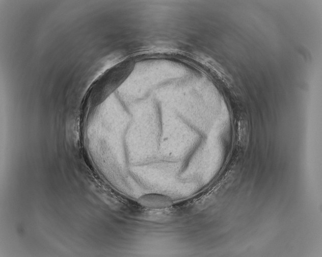 X0000110861165200907301346