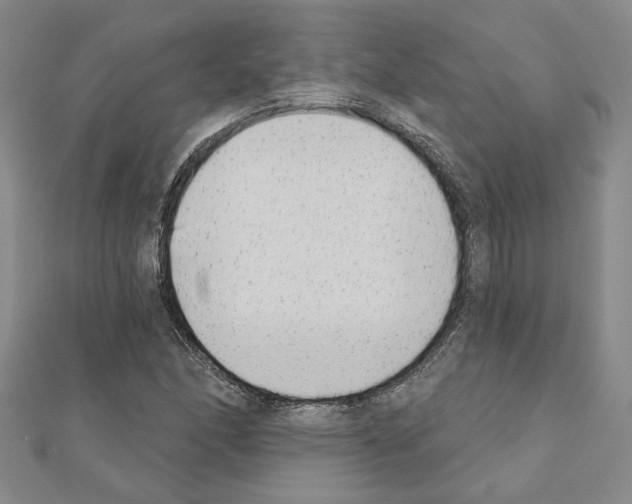 X0000110861166200907301346