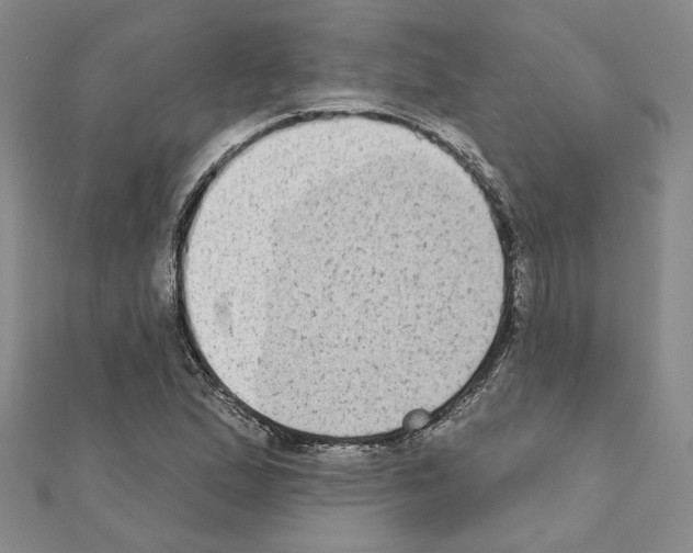 X0000110861167200907301346