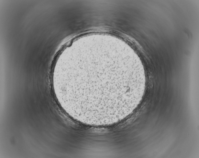 X0000110861168200907301346