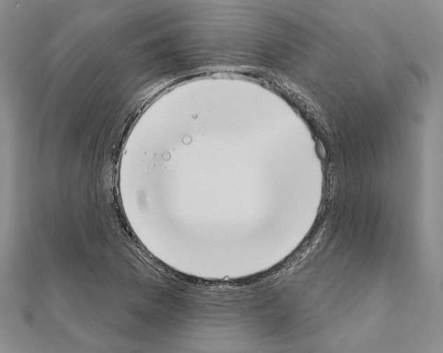 X0000110861169200907301346