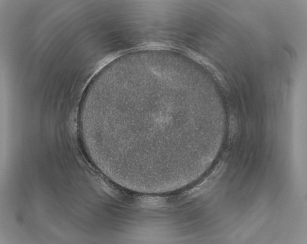 X0000110861170200907301346