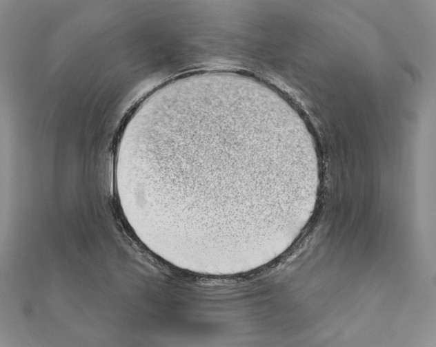 X0000110861171200907301346