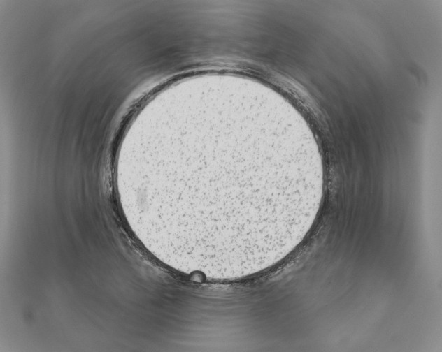 X0000110861172200907301346