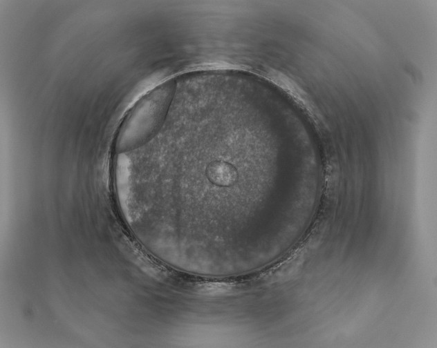 X0000110861173200907301346