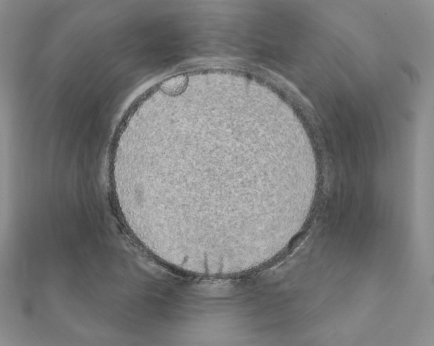 X0000110861174200907301346