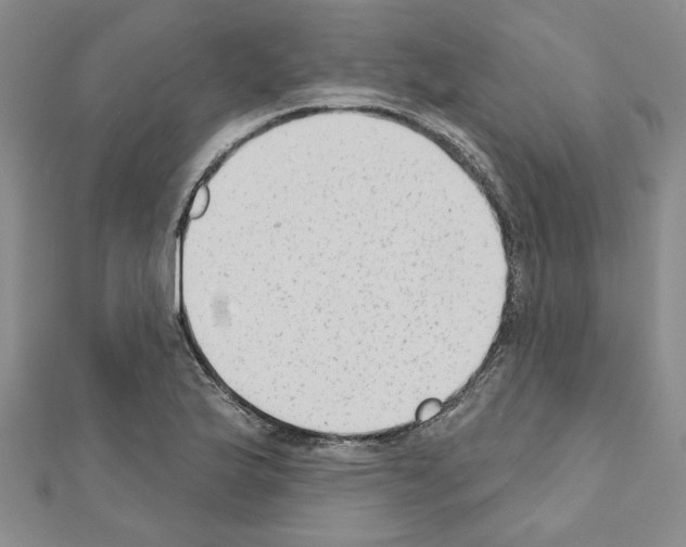 X0000110861175200907301346