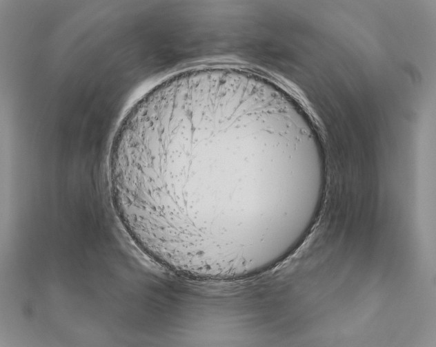 X0000110861176200907301346
