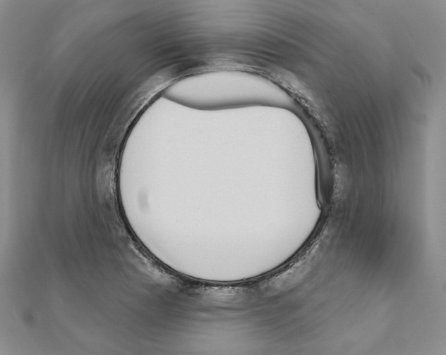 X0000110861177200907301346