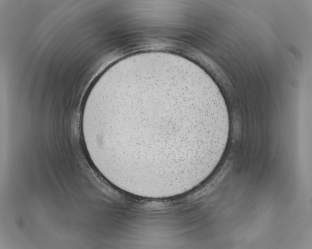 X0000110861178200907301346