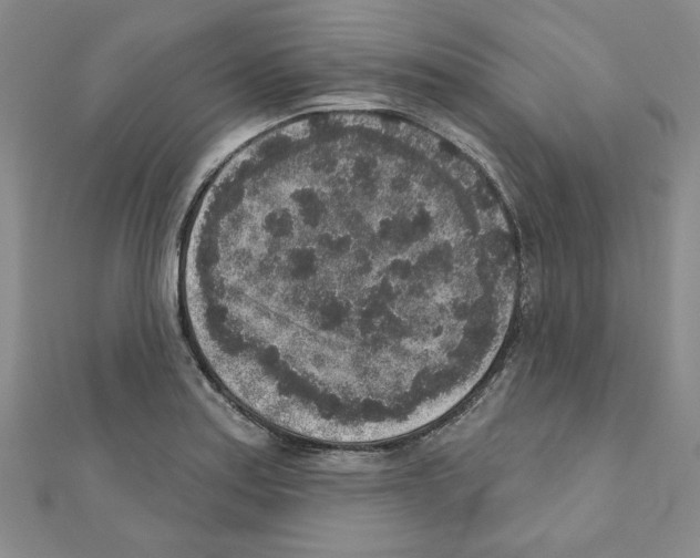 X0000110861179200907301346