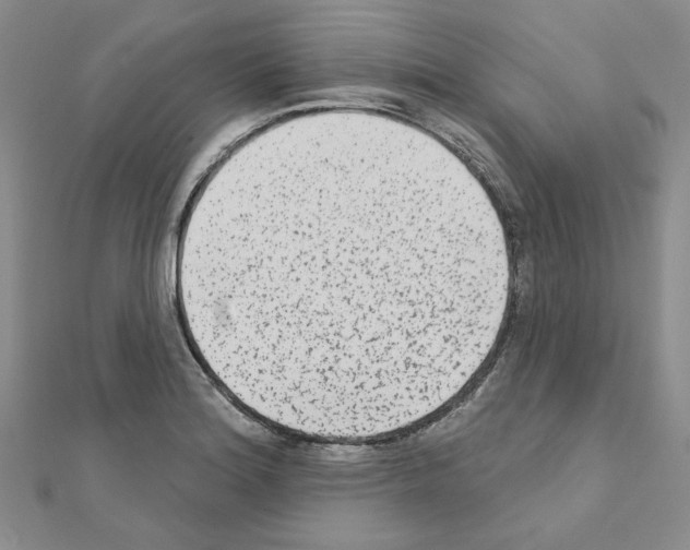 X0000110861180200907301346