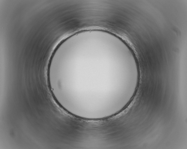 X0000110861181200907301346