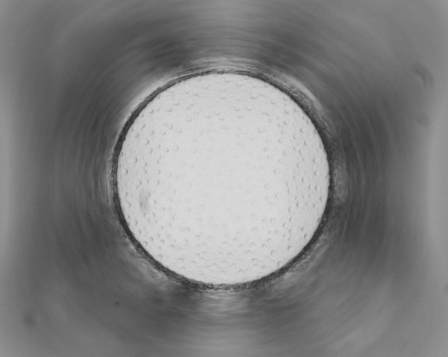 X0000110861182200907301346