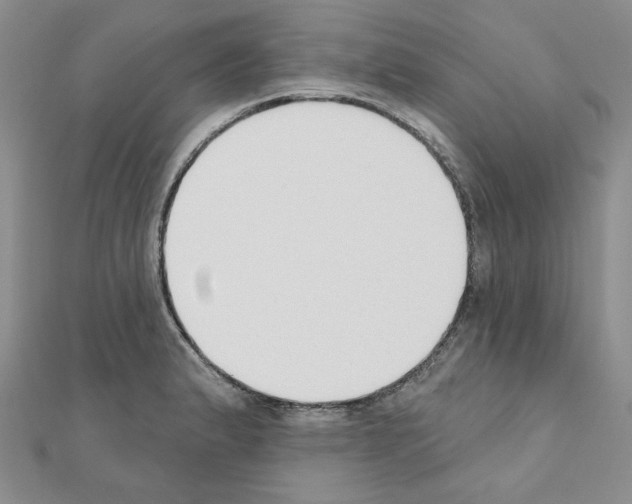 X0000110861183200907301346