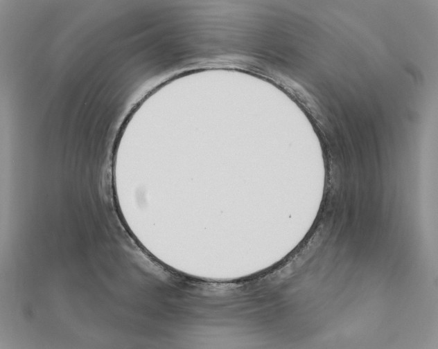 X0000110861184200907301346