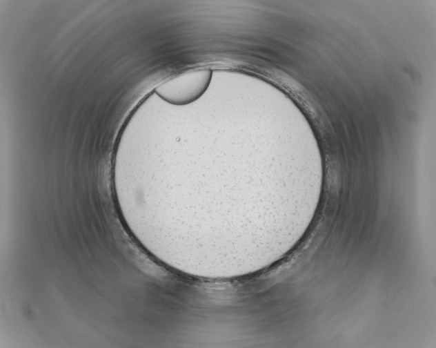 X0000110861186200907301346