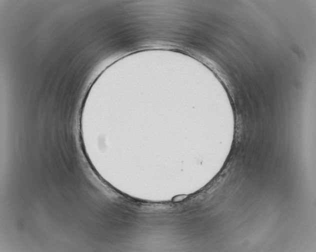 X0000110861187200907301346
