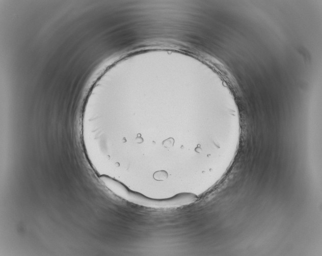 X0000110861188200907301346