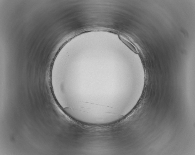 X0000110861189200907301345