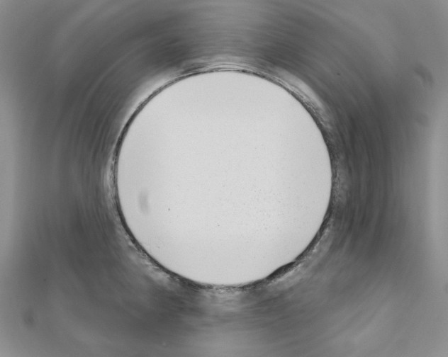 X0000110861190200907301345