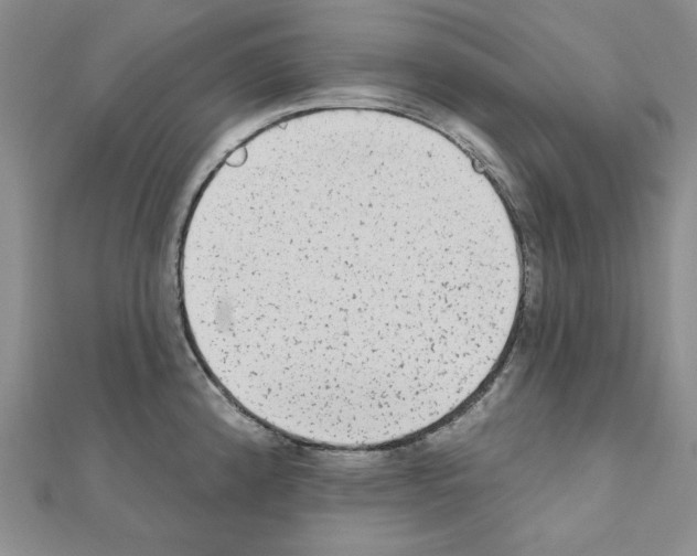 X0000110861192200907301345