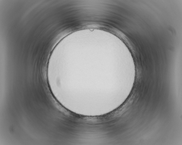 X0000110861194200907301345