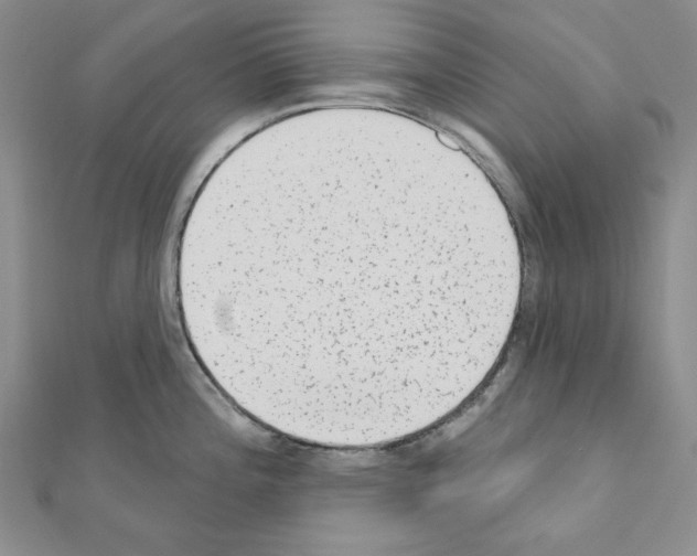 X0000110861196200907301345
