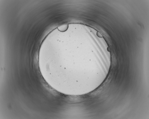 X0000110861198200907301345