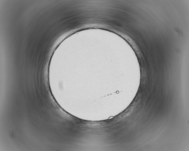 X0000110861199200907301345
