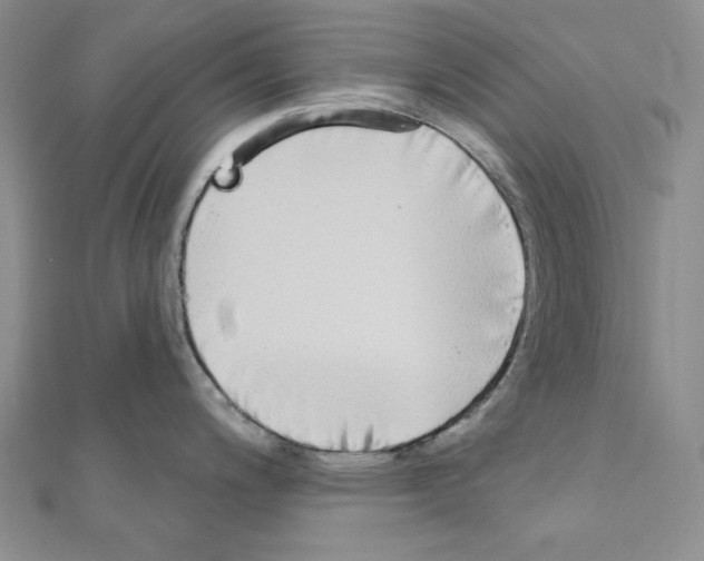 X0000110861200200907301345