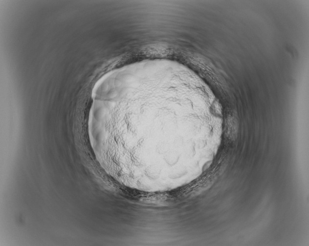 X0000110861201200907301345