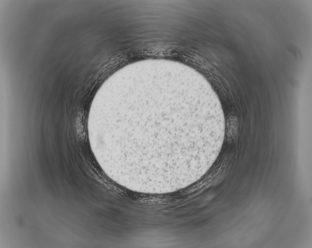X0000110861202200907301345