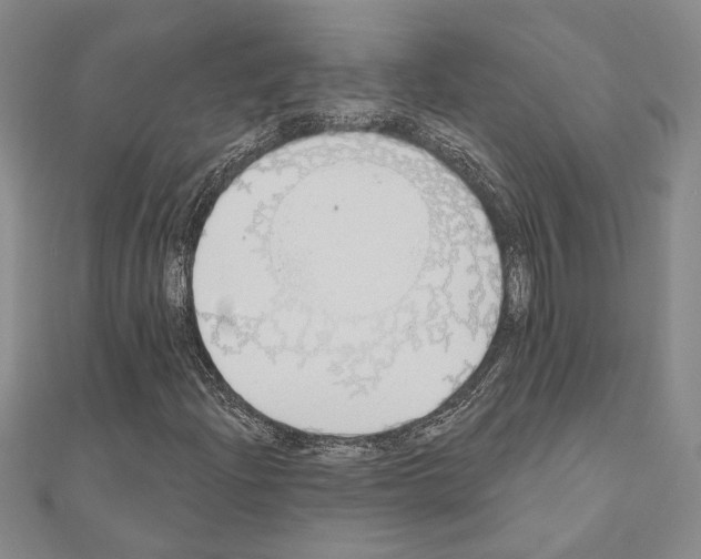 X0000110861204200907301345