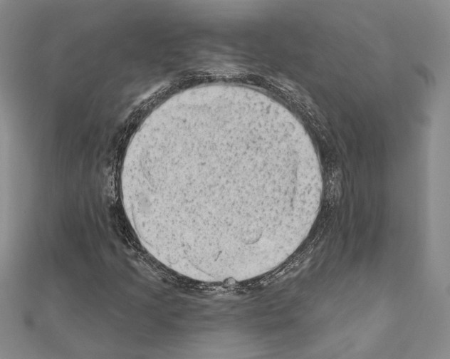 X0000110861205200907301345