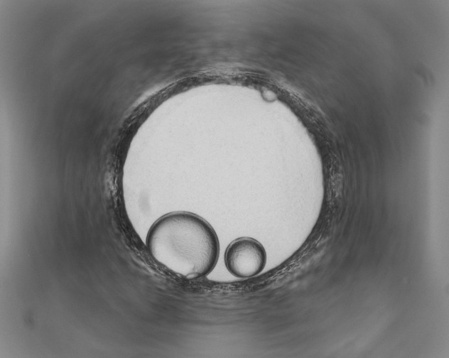 X0000110861206200907301345